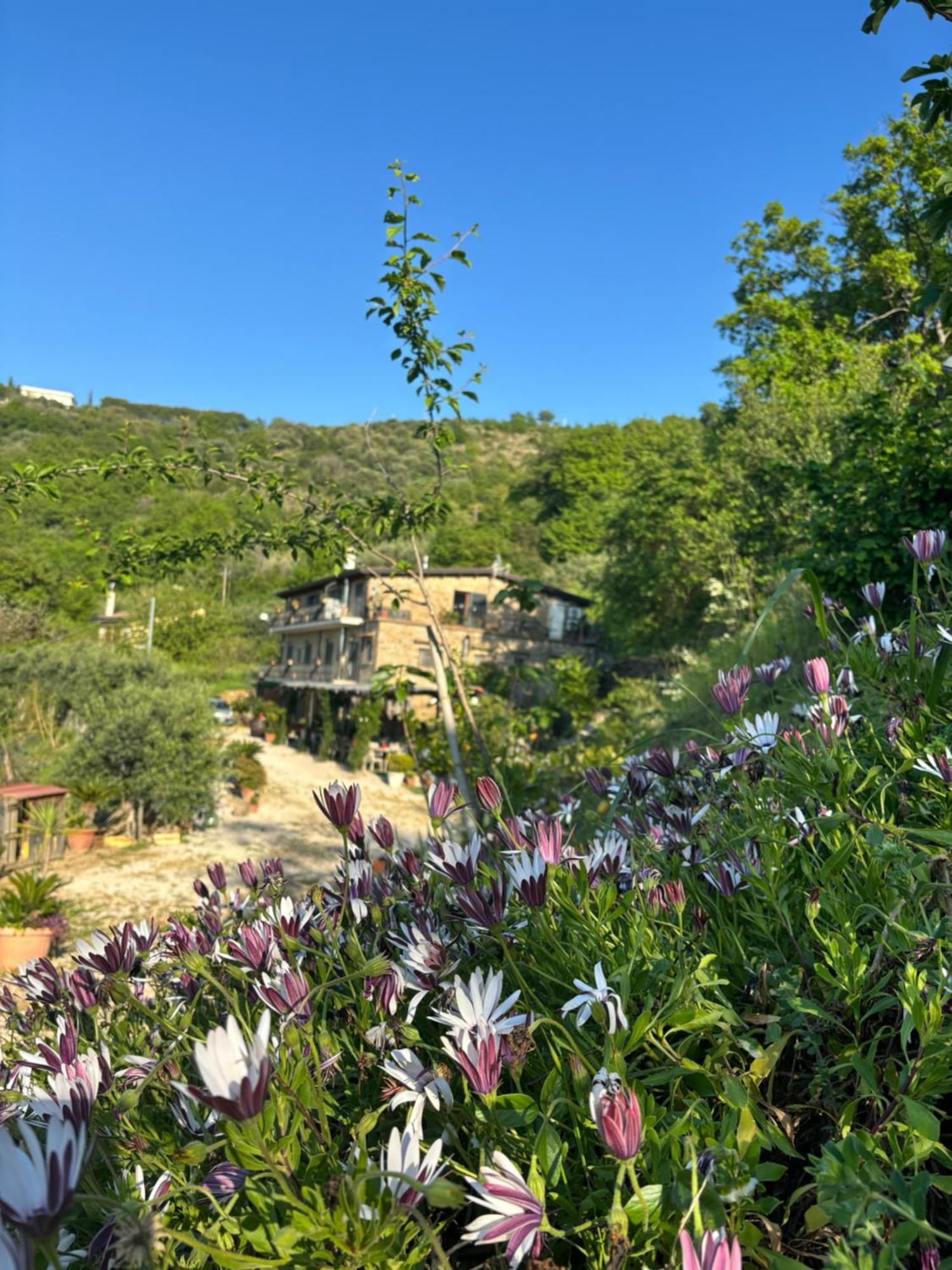 Hostal Dimora Dei Cardinali Agropoli Exterior foto