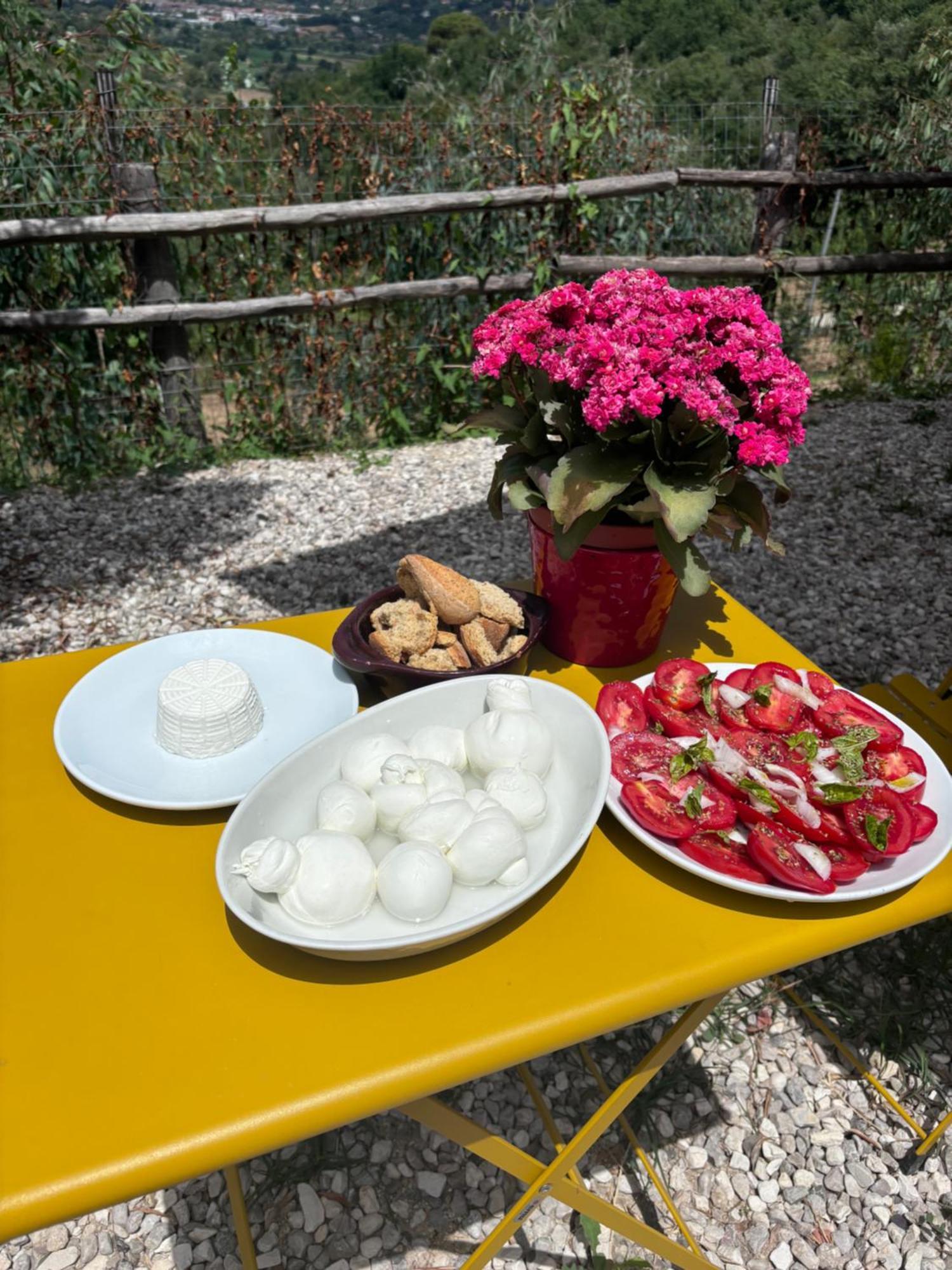 Hostal Dimora Dei Cardinali Agropoli Exterior foto